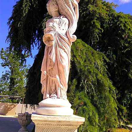 Ciccone