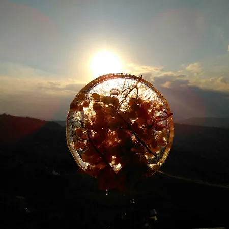 Ciccone Bed & Breakfast Villamagna (Abruzzo)