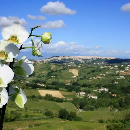 Bed & Breakfast Ciccone Villamagna (Abruzzo)