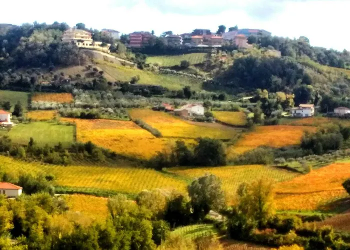 Bed & Breakfast Ciccone