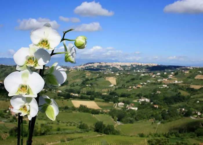 فندق مبيت وإفطار Ciccone Villamagna (Abruzzo)